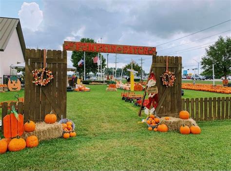 pumpkin patch in beaumont|More.